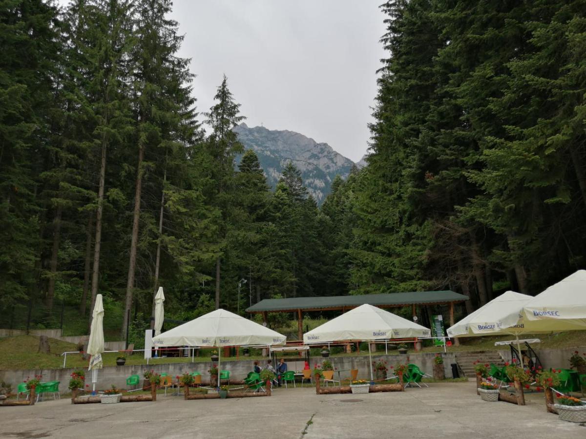 Hostel Cppi Vest Buşteni Dış mekan fotoğraf