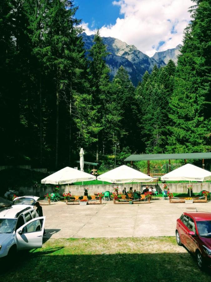 Hostel Cppi Vest Buşteni Dış mekan fotoğraf