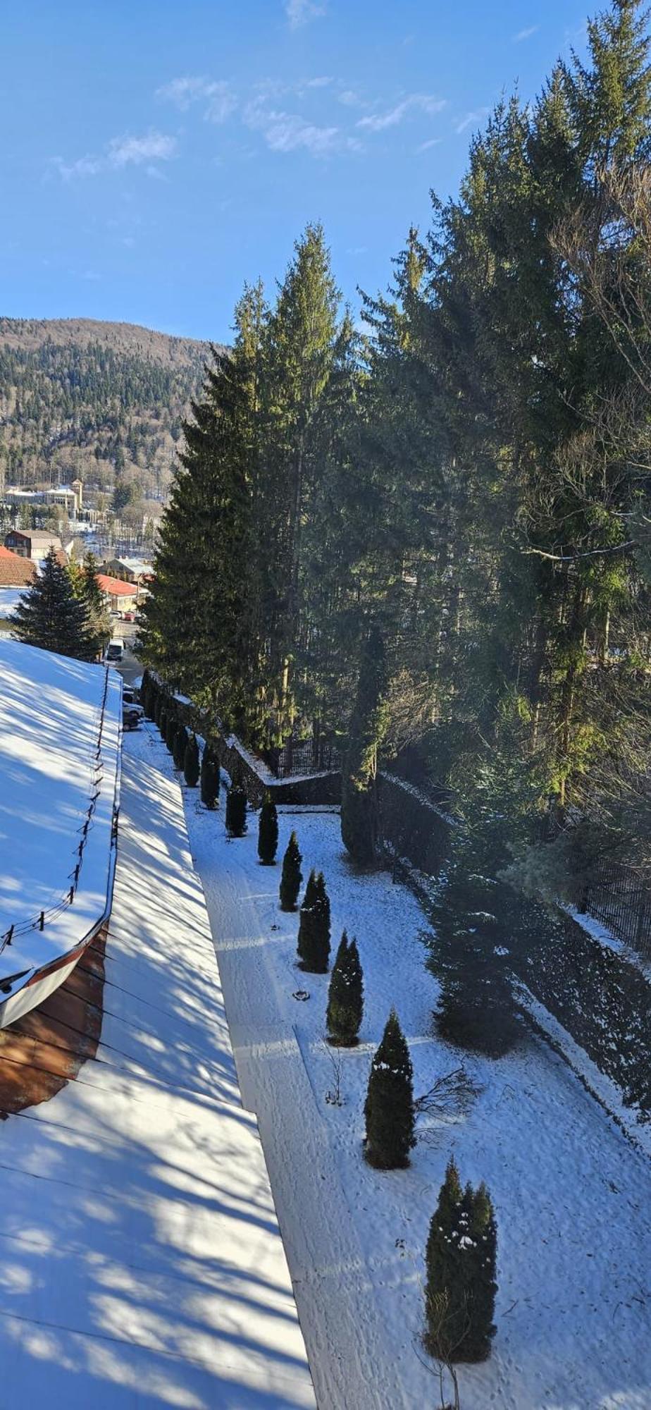Hostel Cppi Vest Buşteni Dış mekan fotoğraf
