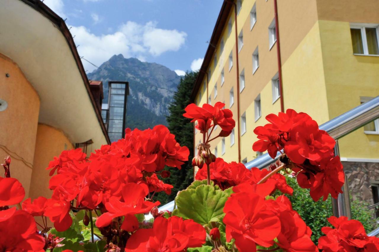 Hostel Cppi Vest Buşteni Dış mekan fotoğraf