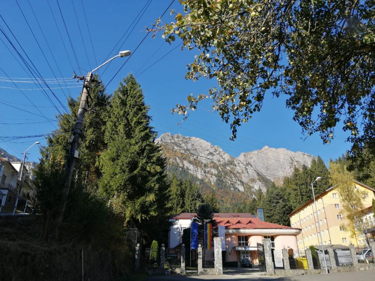 Hostel Cppi Vest Buşteni Dış mekan fotoğraf