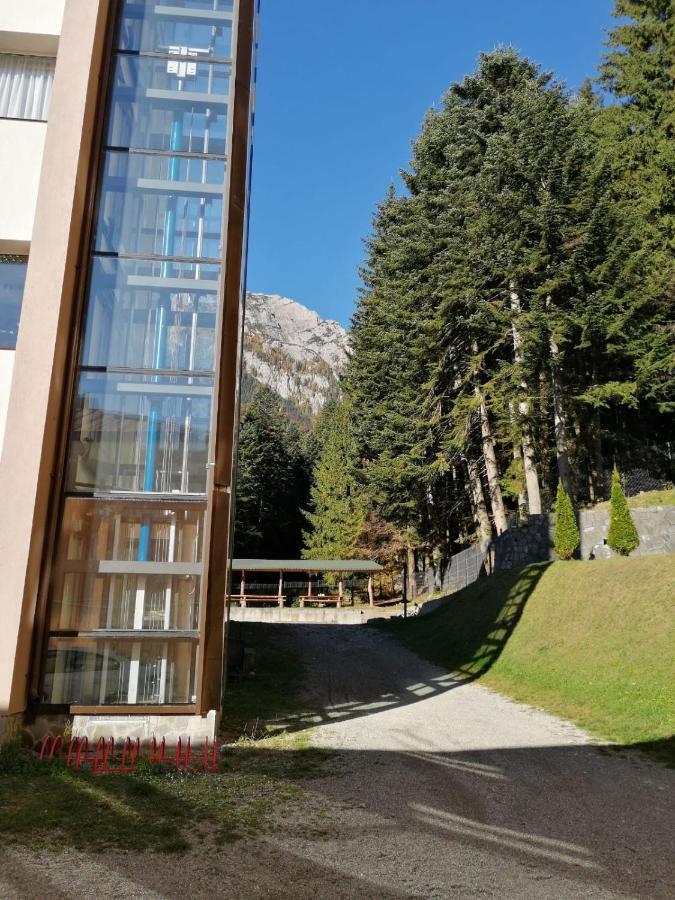 Hostel Cppi Vest Buşteni Dış mekan fotoğraf