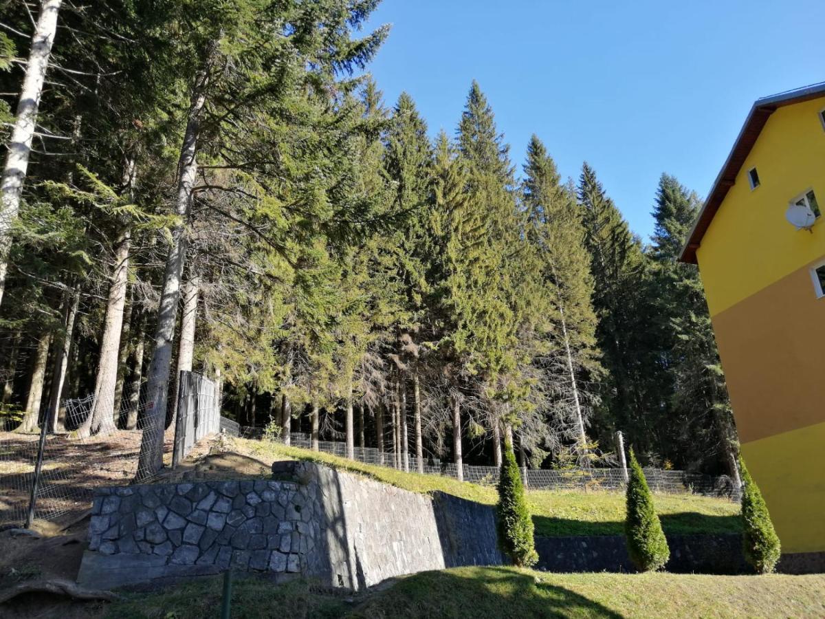 Hostel Cppi Vest Buşteni Dış mekan fotoğraf