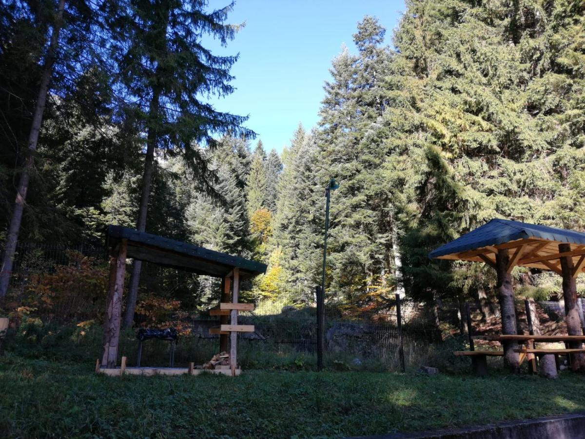 Hostel Cppi Vest Buşteni Dış mekan fotoğraf